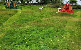 Cosy Glamping Pod Glamping In St Austell Cornwall